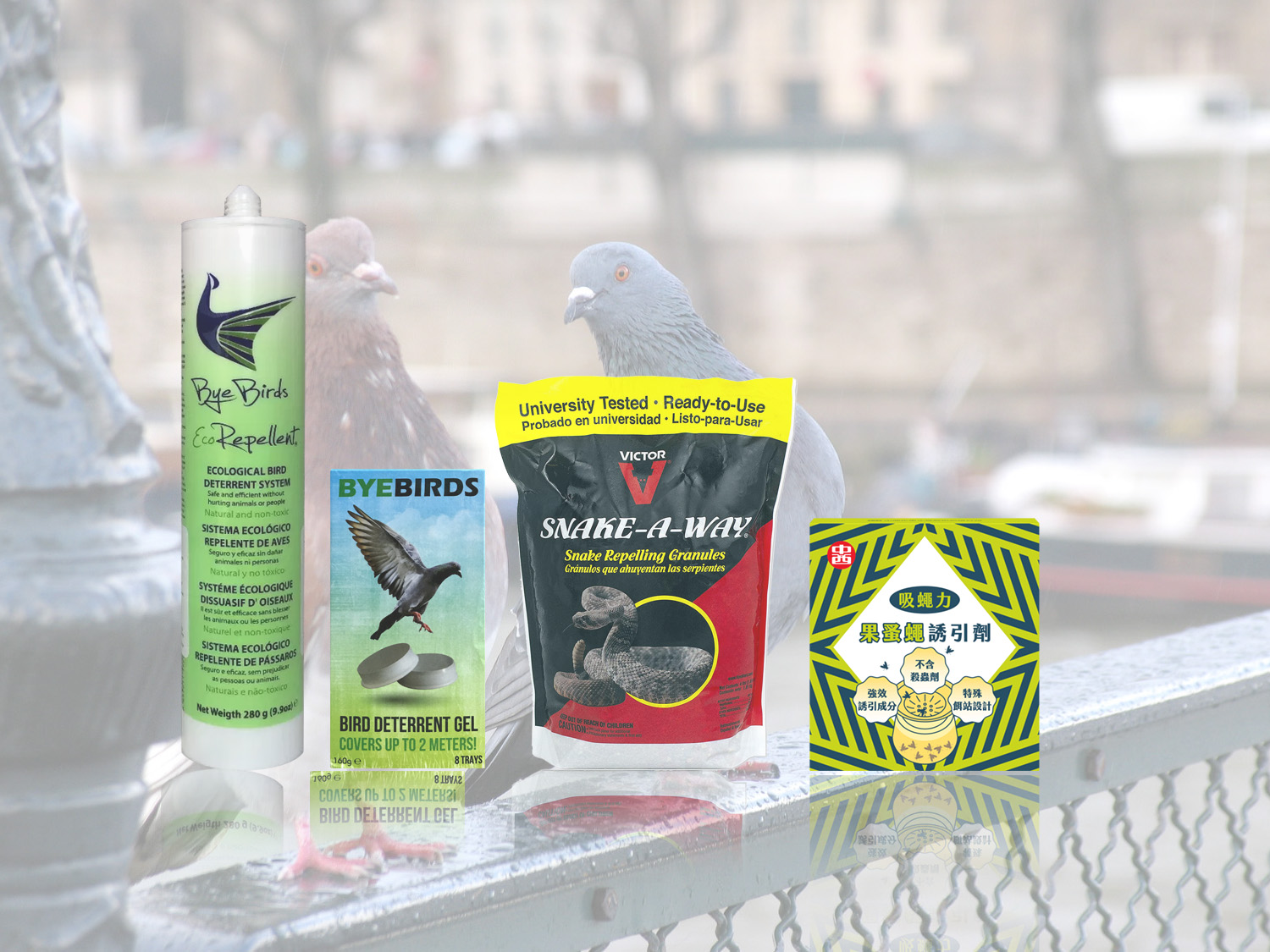 騷擾性動物管理